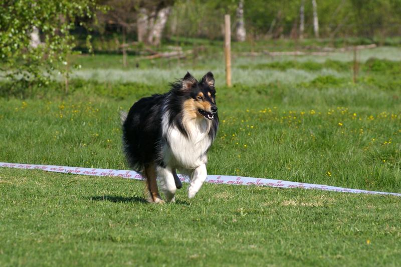 25.5.09 002 (10).jpg